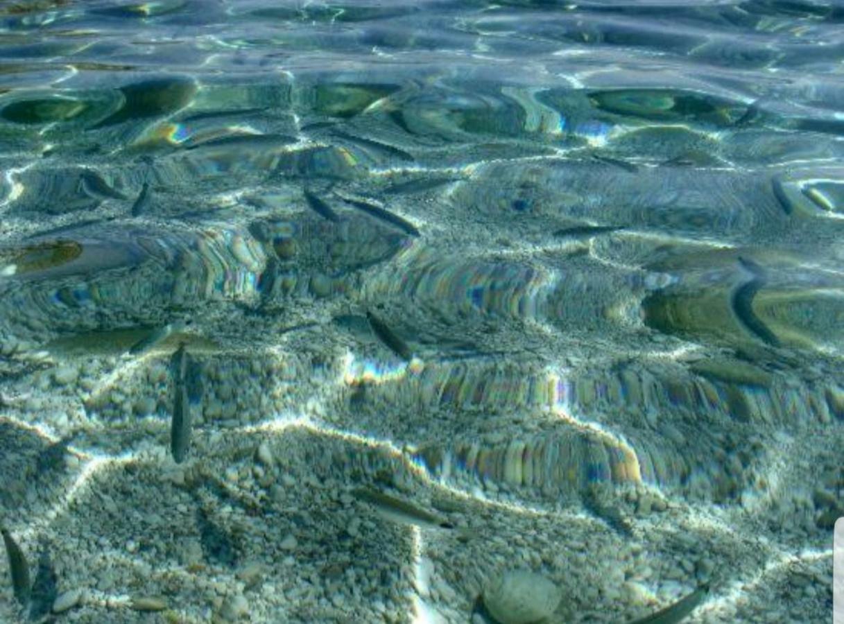 Casa Vacanze Sea-Life Alcamo Marina Exteriör bild